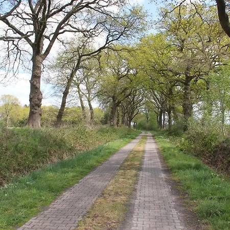 Friedeburga * Friedeburg (Lower Saxony)