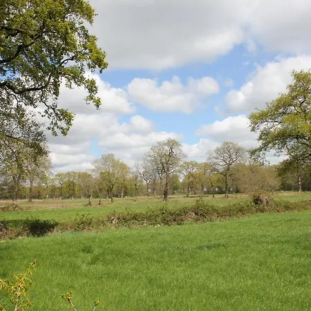 Friedeburga Apartment Friedeburg (Lower Saxony)