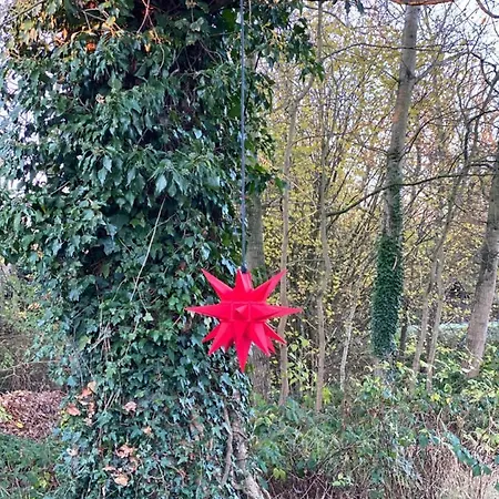 Friedeburga Apartment *